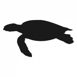Sea turtle swimming silhouette - Transparent PNG & SVG vector