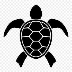 Sea Turtle Background png download - 1200*1200 - Free ...