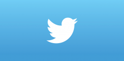 How Twitter\'s Bird Evolved to Become One of the Most ...