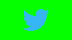 Animated Twitter \