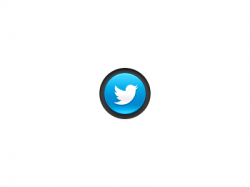 animated twitter button v2 by Eddie Lobanovskiy on Dribbble