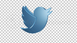 Twitter 3D Bird Logo Animation Footage Video – Motionisland