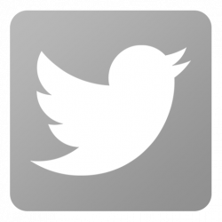 Twitter logo grey png 4 » PNG Image