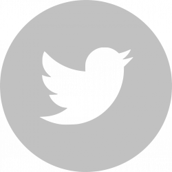 Download Twitter Logo White Vector - Facebook Logo Grey ...
