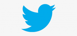 Twitter - Twitter Logo Png High Resolution Transparent PNG ...