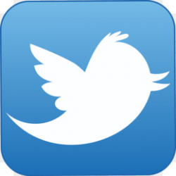 Twitter Logo PNG - Twitter Logo White, Twitter Logo Vector ...