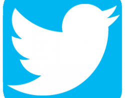 Twitter logo high res png 1 » PNG Image