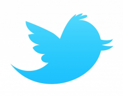 Twitter Logo Redesign Larry The Bird | TMB