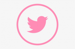 Pink Facebook Pink Instagram Pink Twitter Pink Google ...