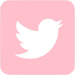 Pink twitter 3 icon - Free pink social icons