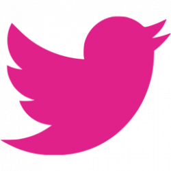Barbie pink twitter icon - Free barbie pink social icons