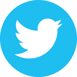 Bird, logo, social, social media, tweet, twitter icon