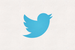 Twitter\'s new bird logo takes flight - The Verge