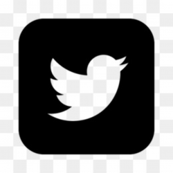 Twitter PNG - Twitter Logo, Twitter Icon, Twitter ...