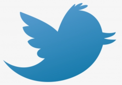 Twitter Logo PNG Images, Transparent Twitter Logo Image ...