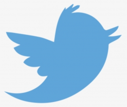 Twitter Logo PNG Images, Transparent Twitter Logo Image ...