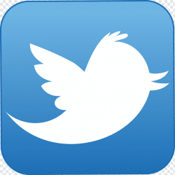 Twitter logo, Icon Logo, Twitter logo free png | PNGFuel