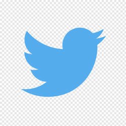 Twitter logo, Twitter Logo free png | PNGFuel