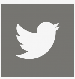 Twitter Logo Clear On Grey-05 - Twitter Logo On Grey ...