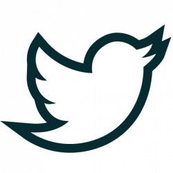 Bird, news, tweet, twitter icon