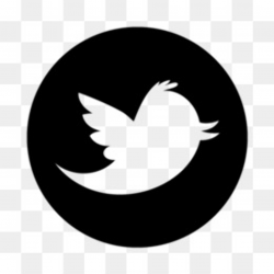 Twitter PNG - Twitter Logo, Twitter Icon, Twitter ...