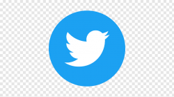 Icon Logo, Twitter logo, Twitter logo free png | PNGFuel