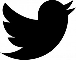 Bird, new, simple, twitter icon