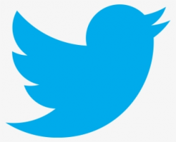 Twitter Logo PNG, Free HD Twitter Logo Transparent Image ...