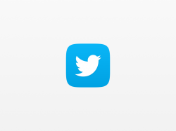 Small twitter Logos