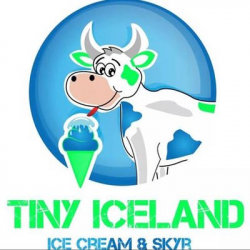 Tiny Iceland (@Tiny_Iceland) | Twitter