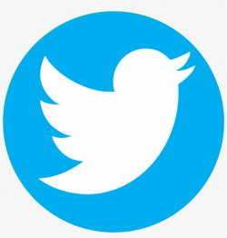 Twitter Logo Png Transparent Background - Logo Twitter Png ...