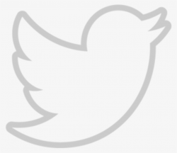 Twitter Logo White PNG, Transparent Twitter Logo White PNG ...