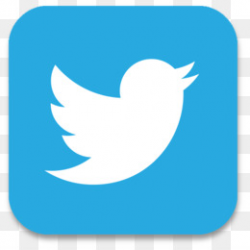 Twitter PNG - Twitter Logo, Twitter Icon, Twitter ...