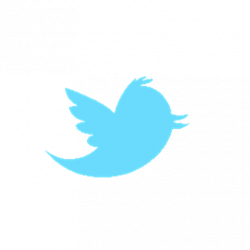 Twitter Bird! Transparent background! - Roblox