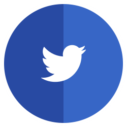 Flat twitter icon #40271 - Free Icons and PNG Backgrounds