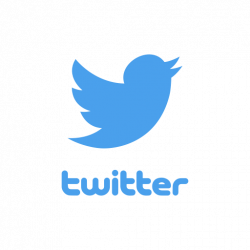Bird, logo, twitter, twitter logo icon