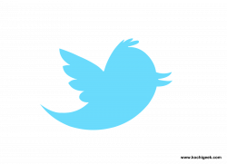Best 54+ Twitter Transparent Background on HipWallpaper ...