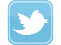 Logo - transparent logo twitter png download - 800*600 ...