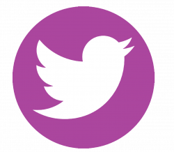 twitter-icon | Buckets of Whimsies