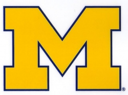 Michigan Wolverines NCAA Small Static Cling Window Decal Rico Industries  303365