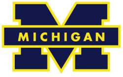 Michigan Wolverines Color Codes Hex, RGB, and CMYK - Team ...
