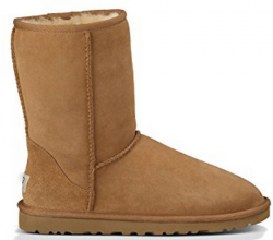 Ugg boots png 1 » PNG Image