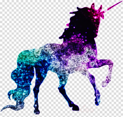 Tshirt, Shirt, Unicorn, transparent png image & clipart free download