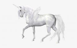 Fantasy Angel Unicorn Png Clipart Picture - Realistic Unicorn Png ...