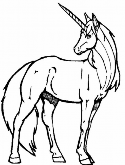unicorn color pages | Unicorn, : A Realistic Drawing of Unicorn ...