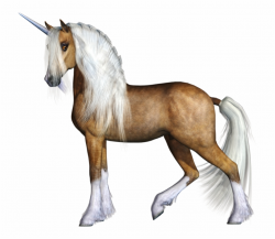 Best Free Unicorn Icon - Realistic Transparent Background Unicorn ...