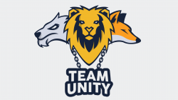 If Team Unity was a NFL team : NLSSCircleJerk