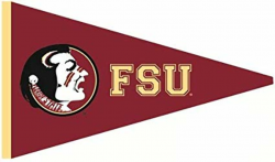 Amazon.com: WiggleWalls 9 Inch FSU Osceola Logo Pennant ...