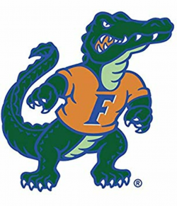 Amazon.com: 6 Inch Albert Gator Logo Decal UF University of ...