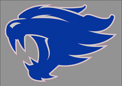 UNIVERSITY OF KENTUCKY UK Wildcats Round Logo 3\